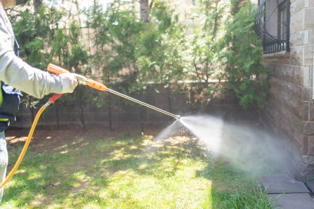 Wasp Removal Services in Friend, NE