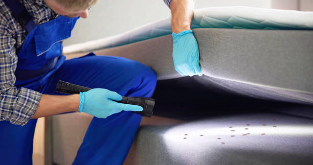 Best Local Pest Control Services  in Friend, NE