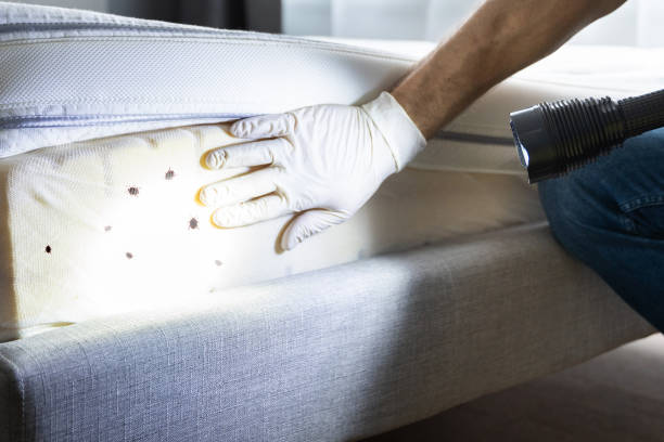 Best Pest Control for Homes  in Friend, NE