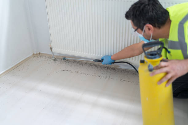 Best Wasp Removal Services  in Friend, NE