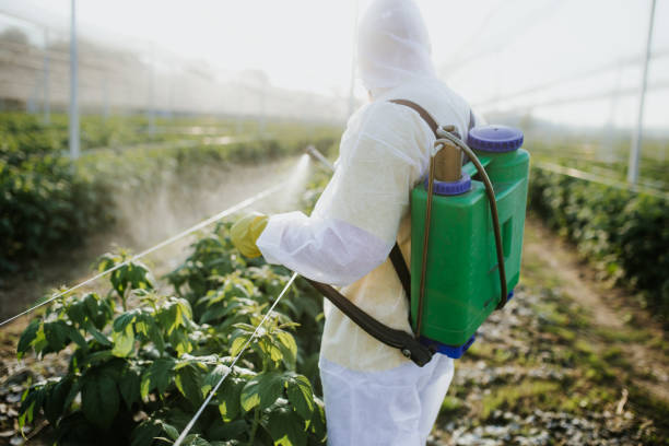 Best Pest Prevention Services  in Friend, NE
